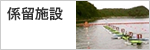 係留施設